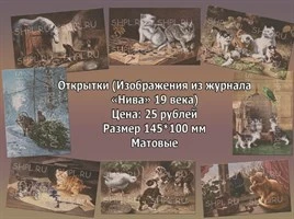 Открытки