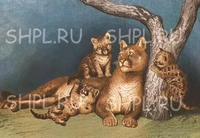 Открытки 17 видов 2021г. "Пума и ее детеныши" 1774